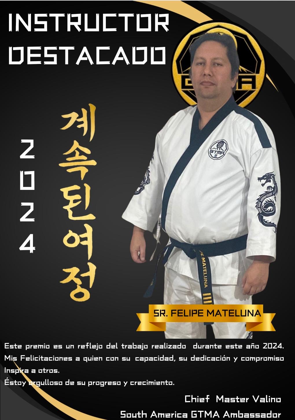 SR. FELIPE MATELUNA FUENTES